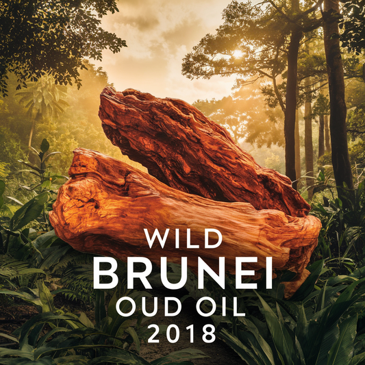 Wild Brunei Oud Oil Aged 2018